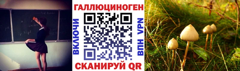 Галлюциногенные грибы прущие грибы  blacksprut как зайти  Ставрополь  купить наркотик 