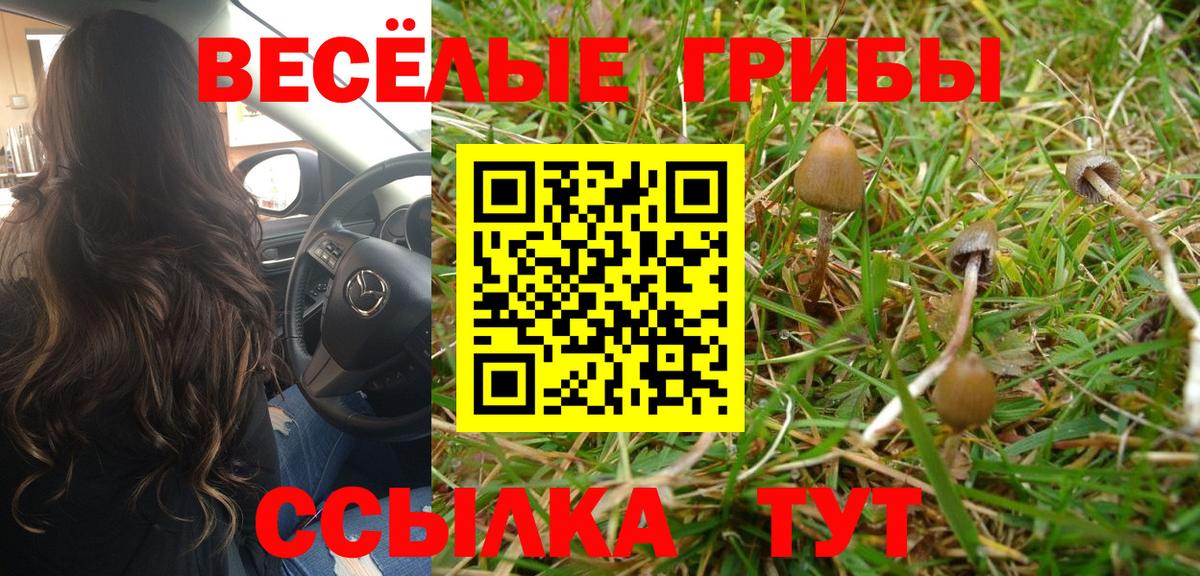 Ставрополь  Галлюциногенные грибы MAGIC MUSHROOMS  что такое   Псилоцибиновые грибы Psilocybe  Вход с VPN 