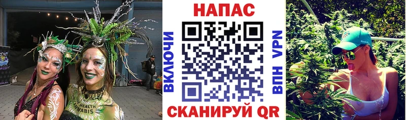 Марихуана гибрид  omg рабочий сайт  Ставрополь 